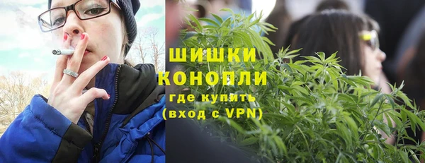 индика Абаза