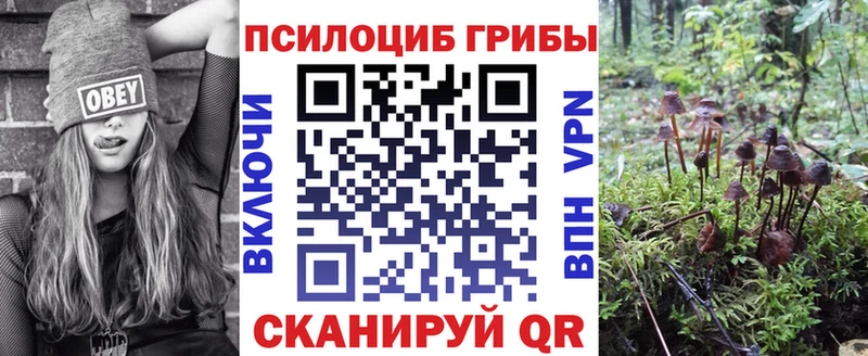 Галлюциногенные грибы Psilocybe  Чишмы 